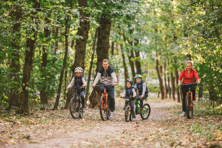 L’itinéraire Bois de Hal