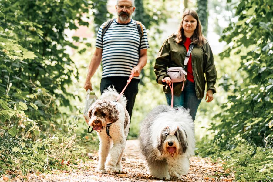 2 personen wandelen in bos met hond